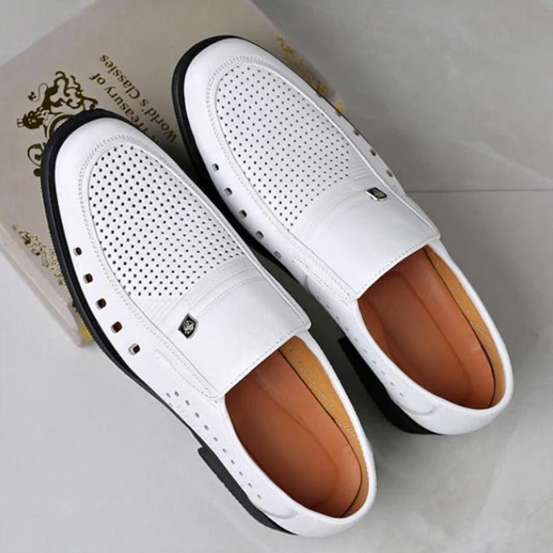 Men's Business Casual Breathable Loafers (Buy 2 Pce Free Shipping✔)